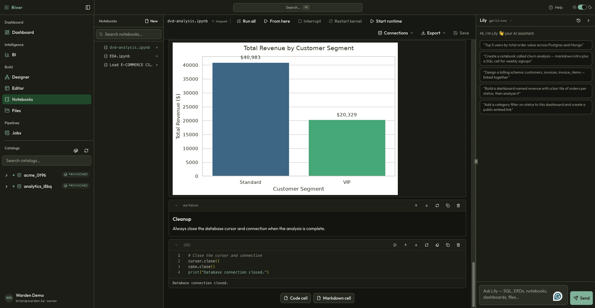 River notebook with a revenue chart and markdown cell