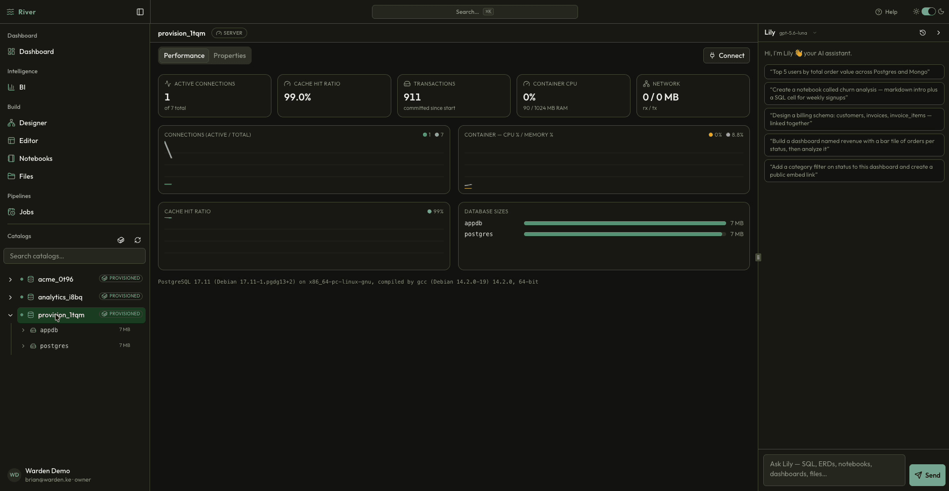 River database server performance with connections, cache hit ratio, and database sizes